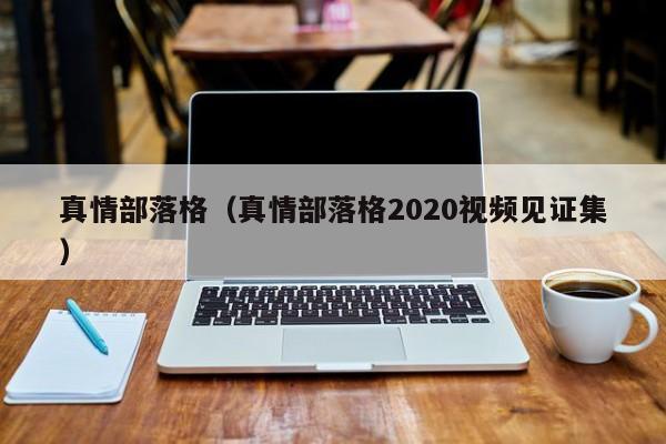 真情部落格（真情部落格2020视频见证集）