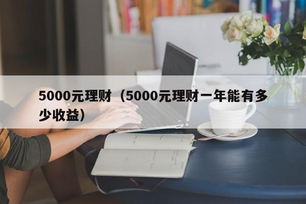 5000元理财（5000元理财一年能有多少收益）