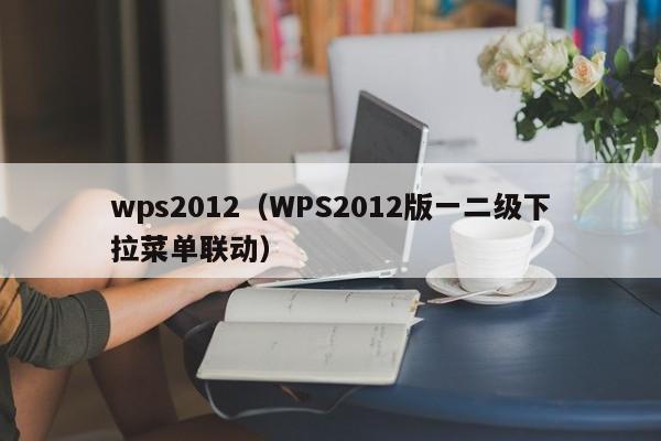 wps2012（WPS2012版一二级下拉菜单联动）