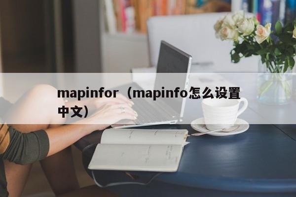 mapinfor（mapinfo怎么设置中文）