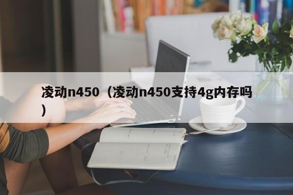 凌动n450（凌动n450支持4g内存吗）