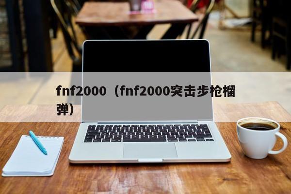 fnf2000（fnf2000突击步枪榴弹）