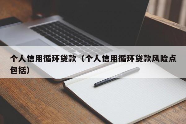 个人信用循环贷款（个人信用循环贷款风险点包括）