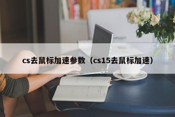 cs去鼠标加速参数（cs15去鼠标加速）