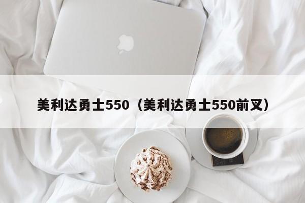 美利达勇士550（美利达勇士550前叉）