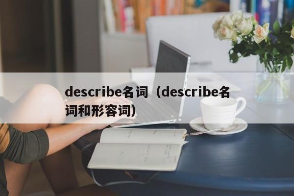 describe名词（describe名词和形容词）