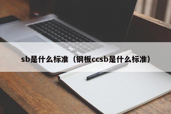 sb是什么标准（钢板ccsb是什么标准）