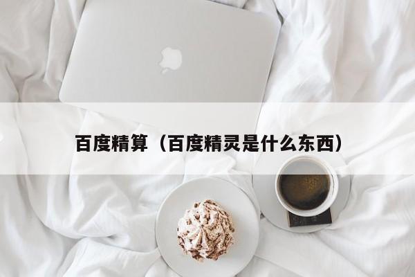 百度精算（百度精灵是什么东西）