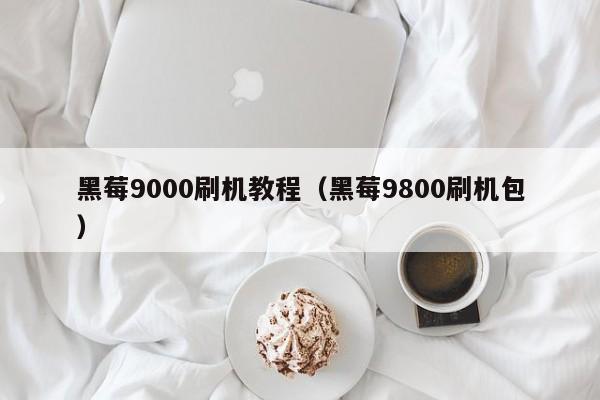 黑莓9000刷机教程（黑莓9800刷机包）