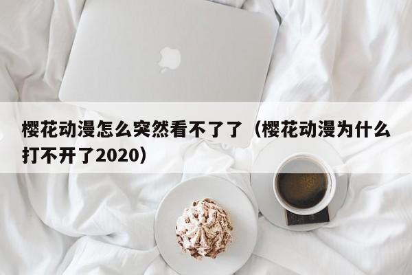 樱花动漫怎么突然看不了了（樱花动漫为什么打不开了2020）