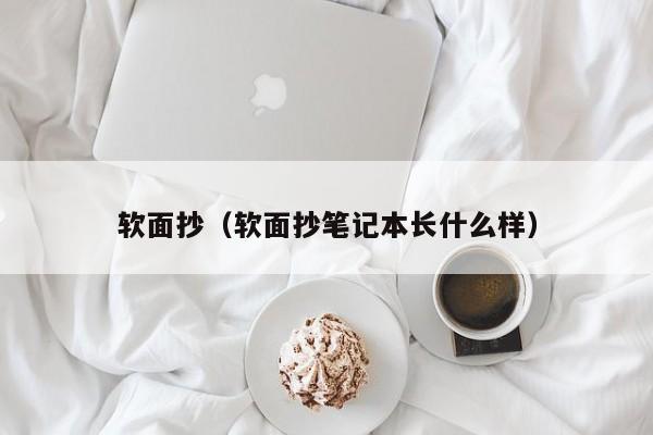 软面抄（软面抄笔记本长什么样）