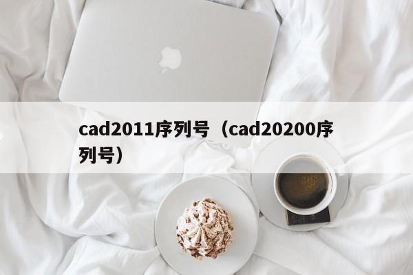 cad2011序列号（cad20200序列号）