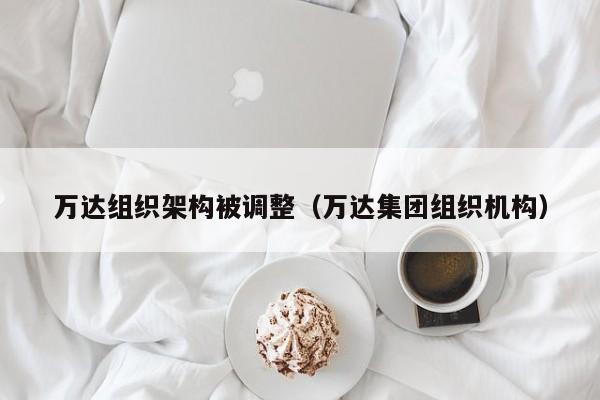 万达组织架构被调整（万达集团组织机构）