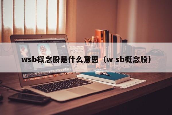 wsb概念股是什么意思（w sb概念股）