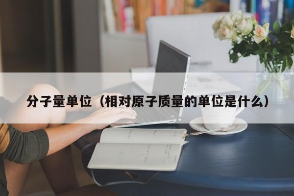 分子量单位（相对原子质量的单位是什么）