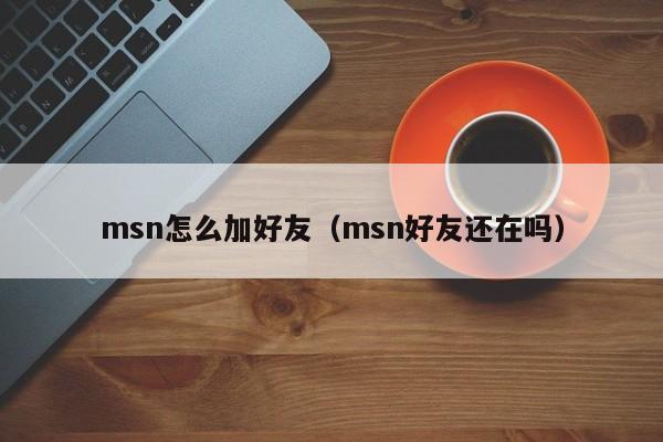 msn怎么加好友（msn好友还在吗）