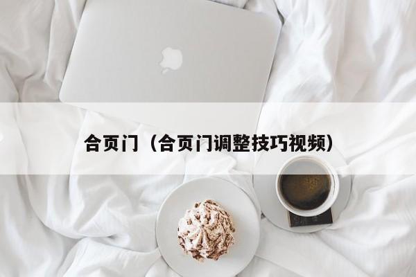 合页门（合页门调整技巧视频）