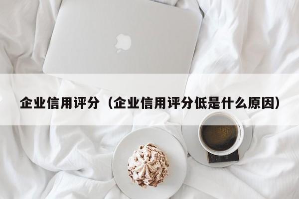 企业信用评分（企业信用评分低是什么原因）