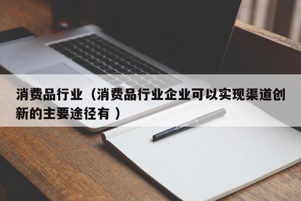 消费品行业（消费品行业企业可以实现渠道创新的主要途径有 ）