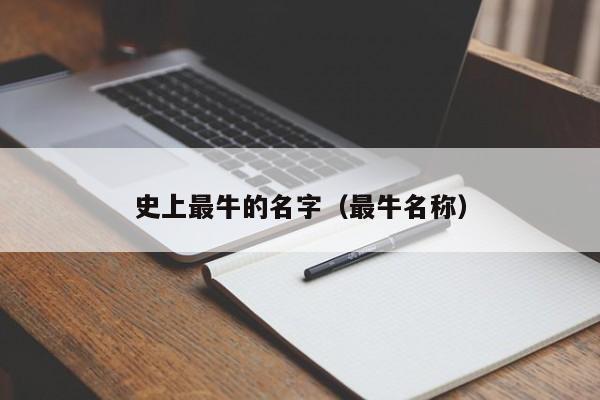 史上最牛的名字（最牛名称）