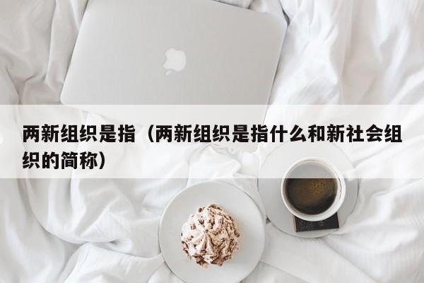 两新组织是指（两新组织是指什么和新社会组织的简称）