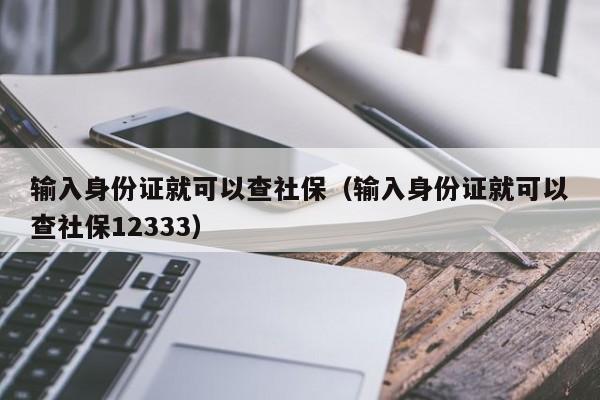 输入身份证就可以查社保（输入身份证就可以查社保12333）