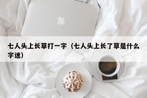 七人头上长草打一字（七人头上长了草是什么字迷）