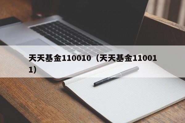 天天基金110010（天天基金110011）