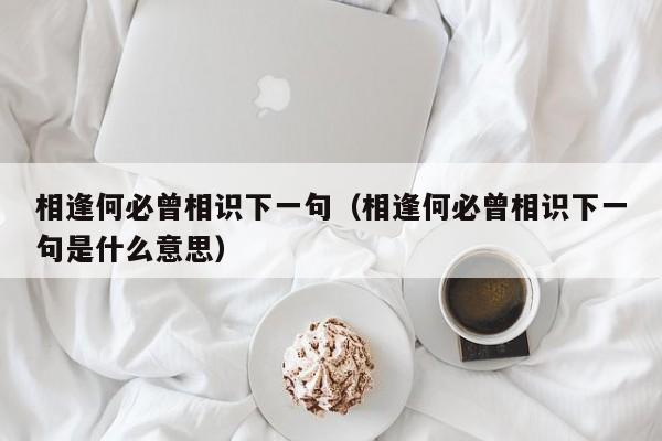 相逢何必曾相识下一句（相逢何必曾相识下一句是什么意思）