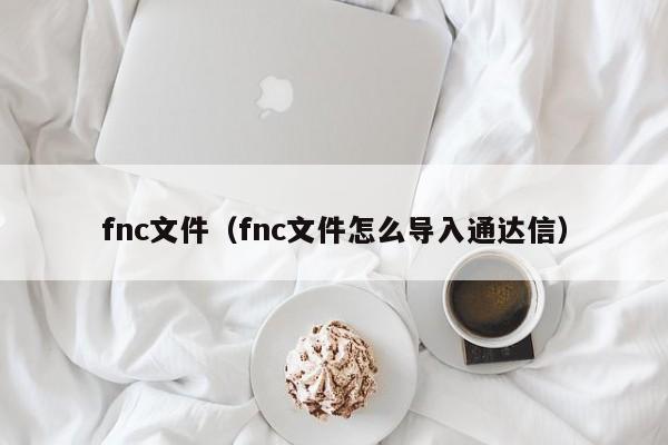 fnc文件（fnc文件怎么导入通达信）