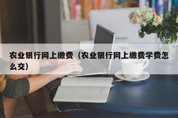 农业银行网上缴费（农业银行网上缴费学费怎么交）