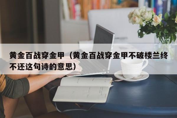 黄金百战穿金甲（黄金百战穿金甲不破楼兰终不还这句诗的意思）