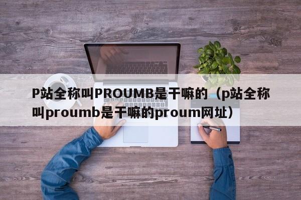 P站全称叫PROUMB是干嘛的（p站全称叫proumb是干嘛的proum网址）