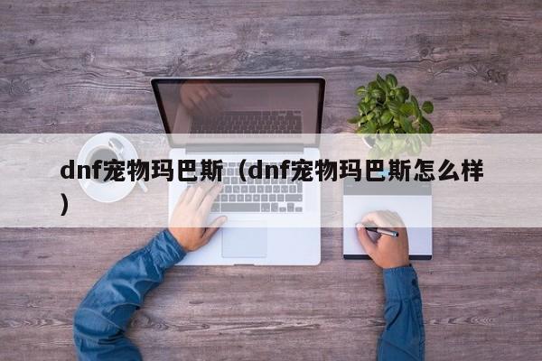 dnf宠物玛巴斯（dnf宠物玛巴斯怎么样）