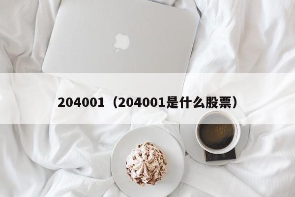 204001（204001是什么股票）