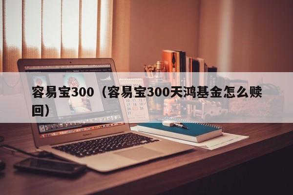 容易宝300（容易宝300天鸿基金怎么赎回）