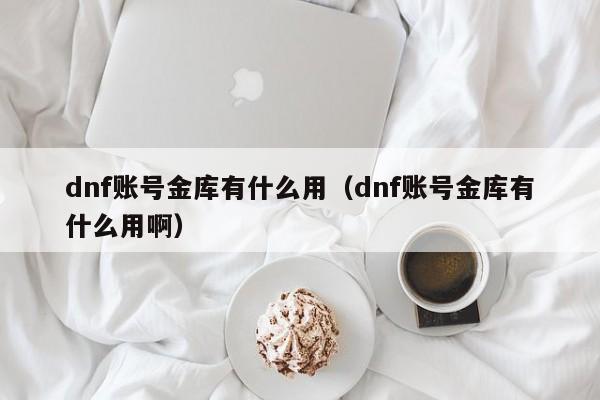 dnf账号金库有什么用（dnf账号金库有什么用啊）