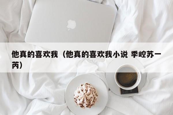 他真的喜欢我（他真的喜欢我小说 季崆苏一芮）