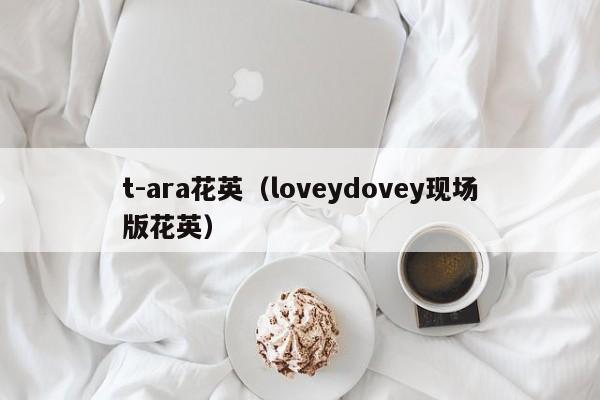 t-ara花英（loveydovey现场版花英）