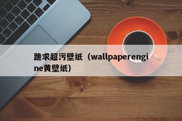 跪求超污壁纸（wallpaperengine黄壁纸）