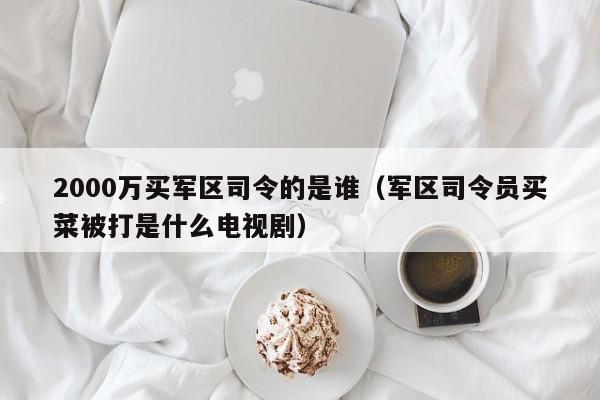 2000万买军区司令的是谁（军区司令员买菜被打是什么电视剧）