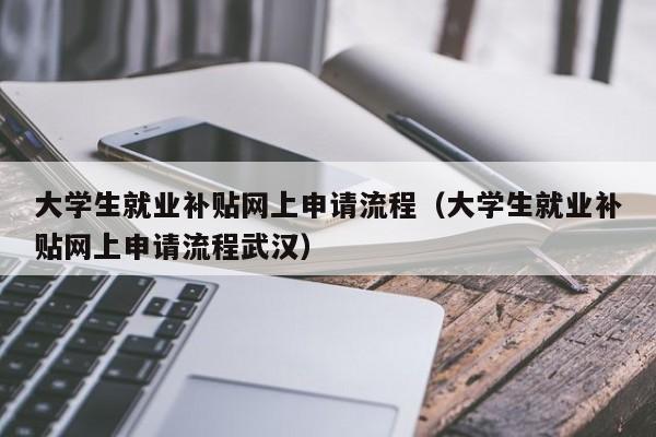 大学生就业补贴网上申请流程（大学生就业补贴网上申请流程武汉）