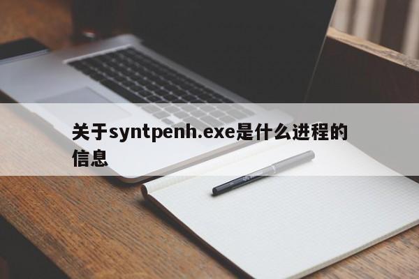 关于syntpenh.exe是什么进程的信息