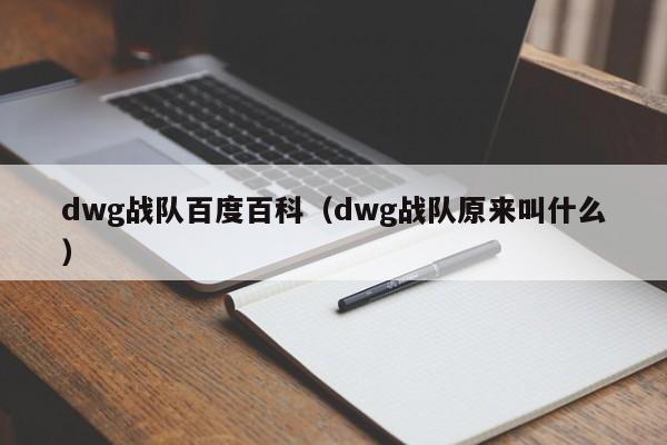 dwg战队百度百科（dwg战队原来叫什么）