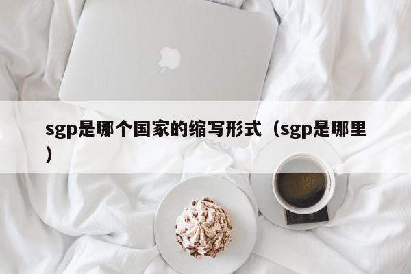 sgp是哪个国家的缩写形式（sgp是哪里）