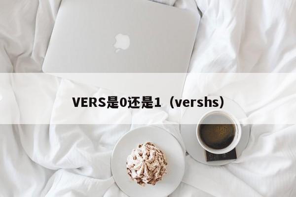 VERS是0还是1（vershs）