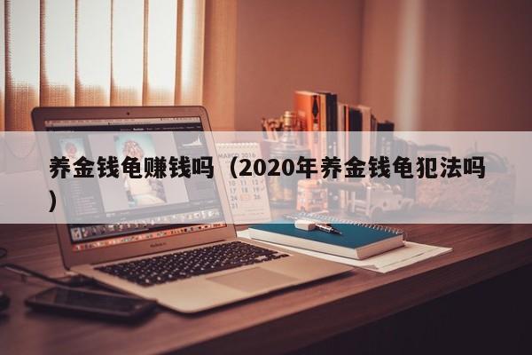 养金钱龟赚钱吗（2020年养金钱龟犯法吗）