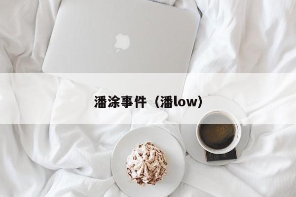 潘涂事件（潘low）