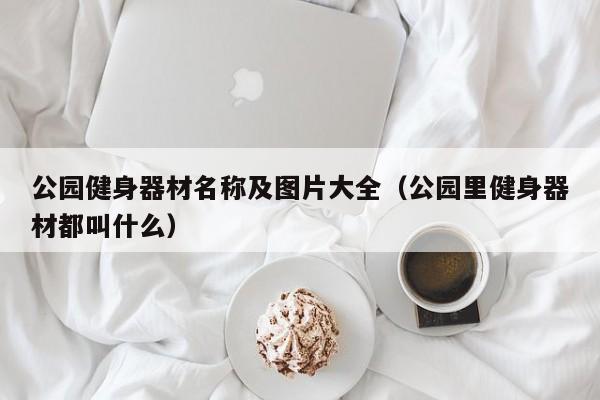 公园健身器材名称及图片大全（公园里健身器材都叫什么）