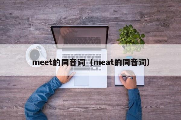 meet的同音词（meat的同音词）